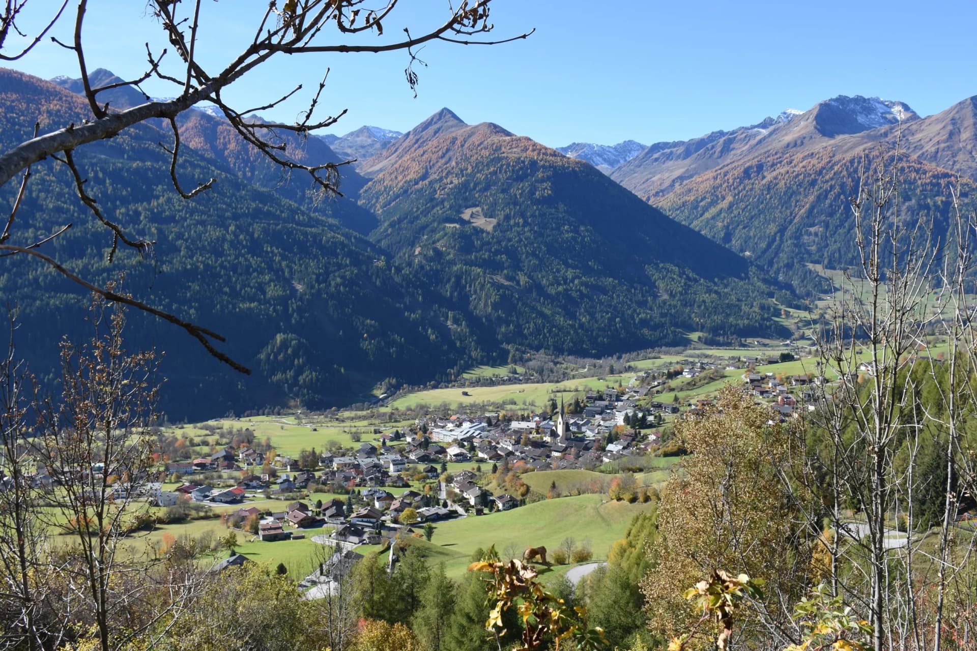 Osttirol, Virgen, Virgental, Tal, Dorf, Siedlung, Bauernhof, Bergbauernhof, Weide, Alm, Landwirtschaft,  Herbst, verfärbt, Venedigergruppe