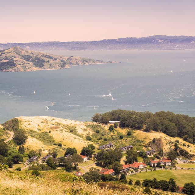 August F's profile photo