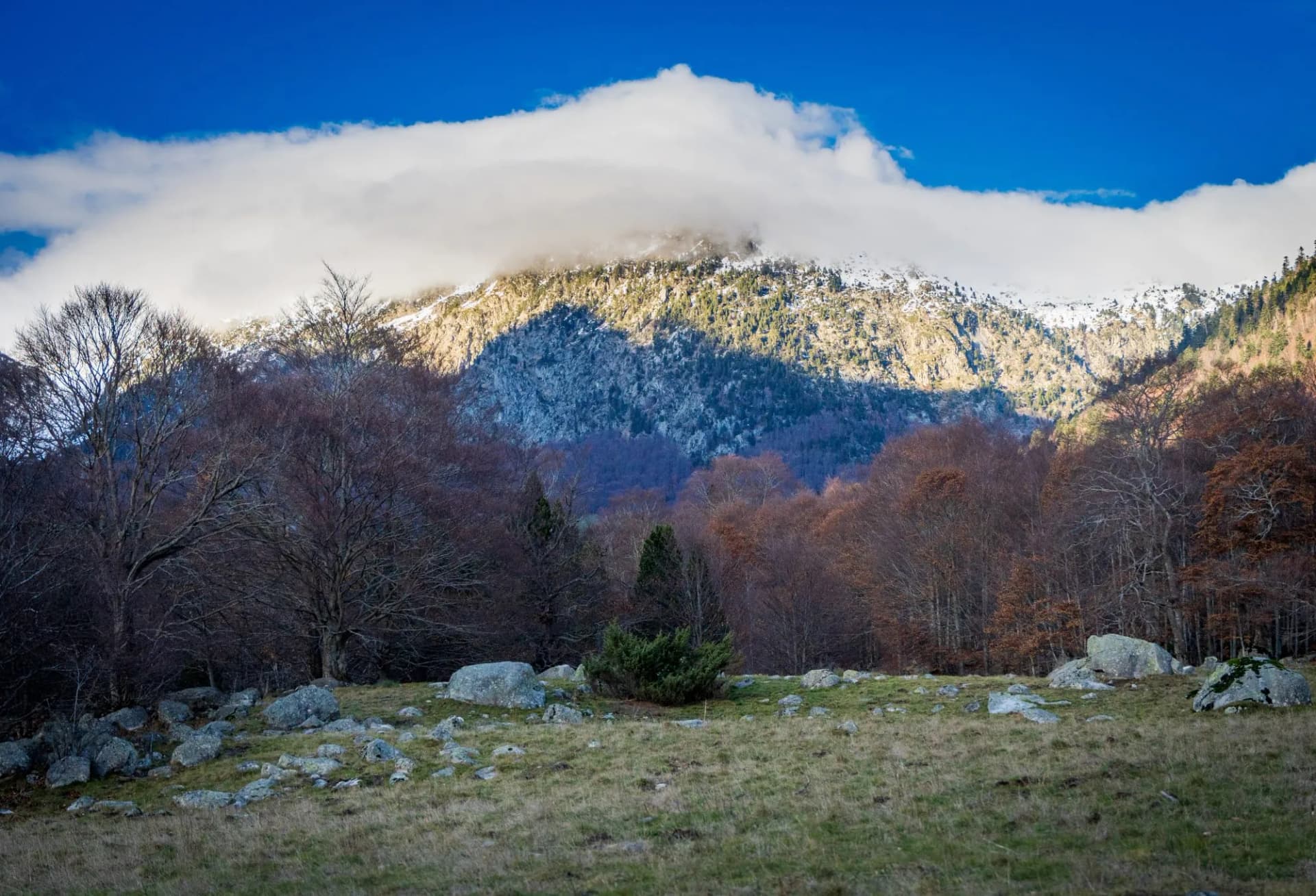 view of the plain of Refugi Conangles