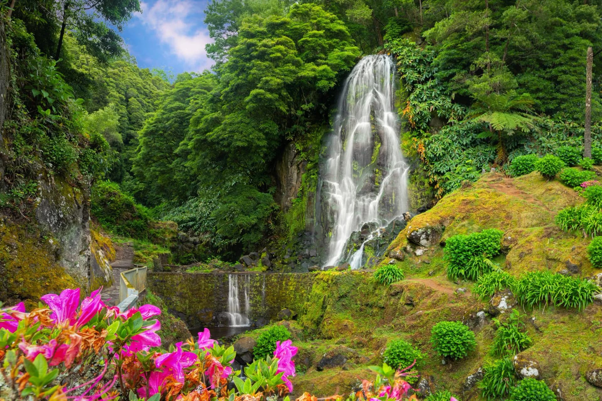 Majestic waterfalls hidden in lush greenery