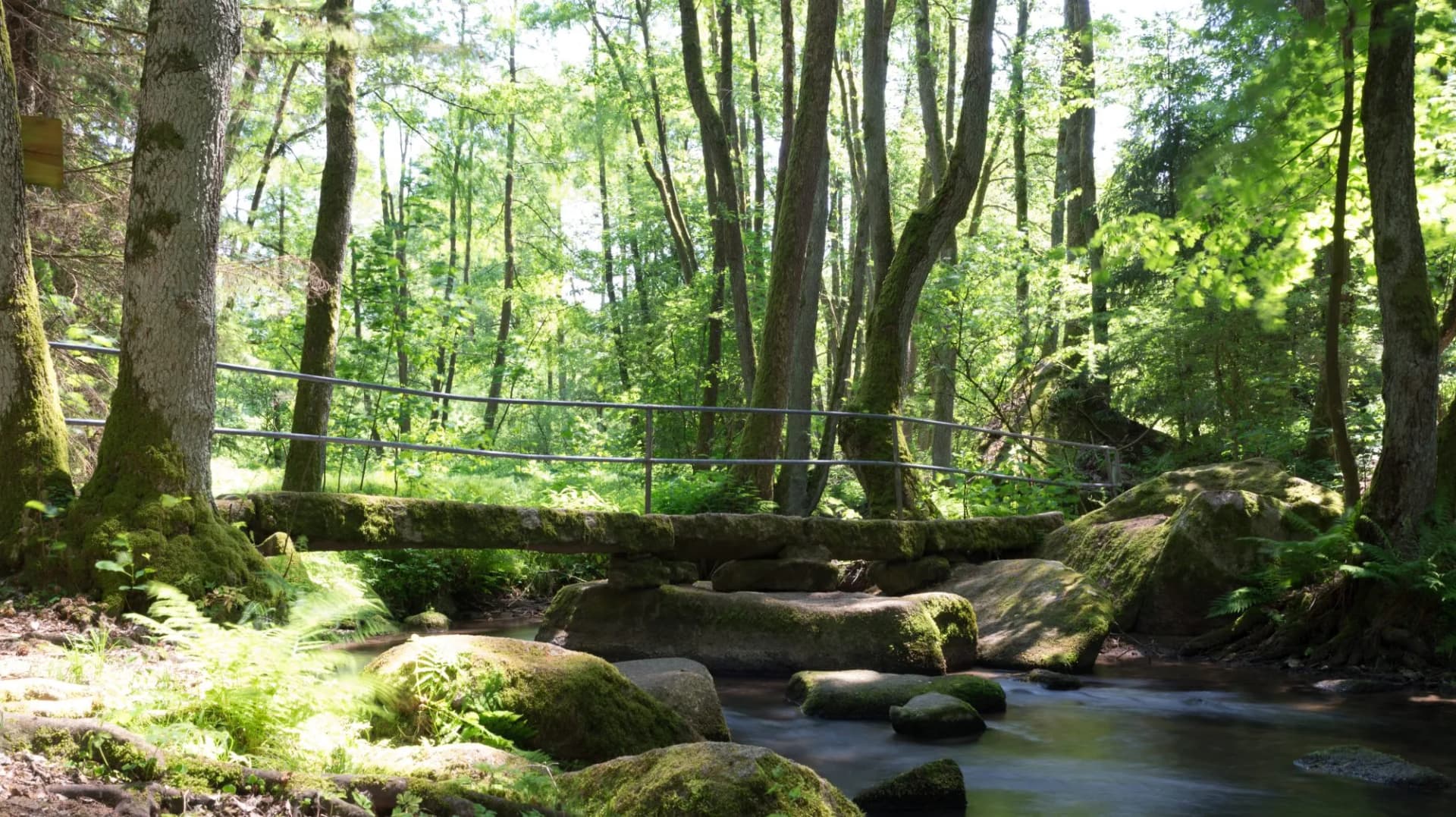 Lerautal in Oberpfalz böhmen Bayern