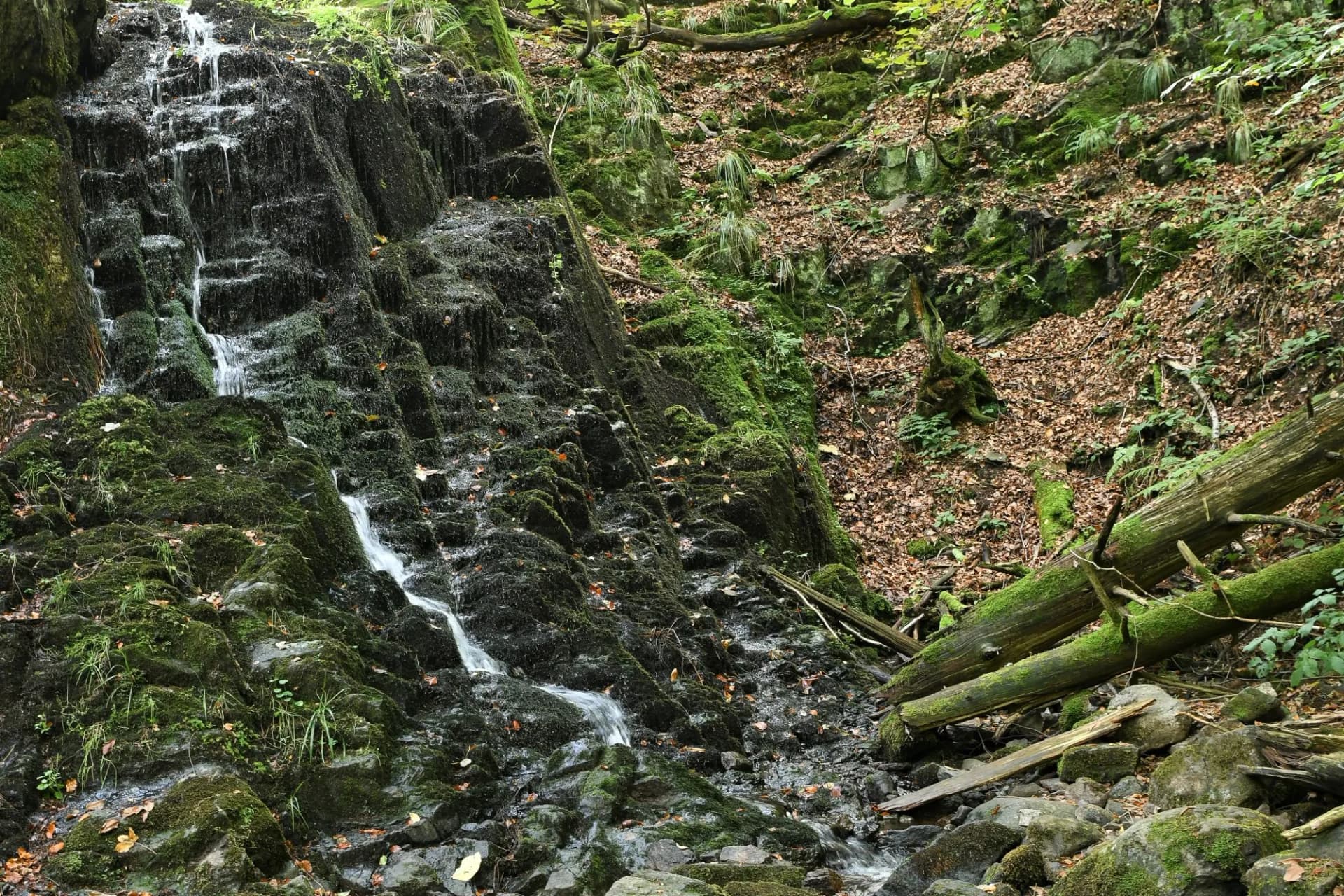 Schöne Bachlandschaft  - Der Spitterfall bei Tambach Dietharz in Thüringen