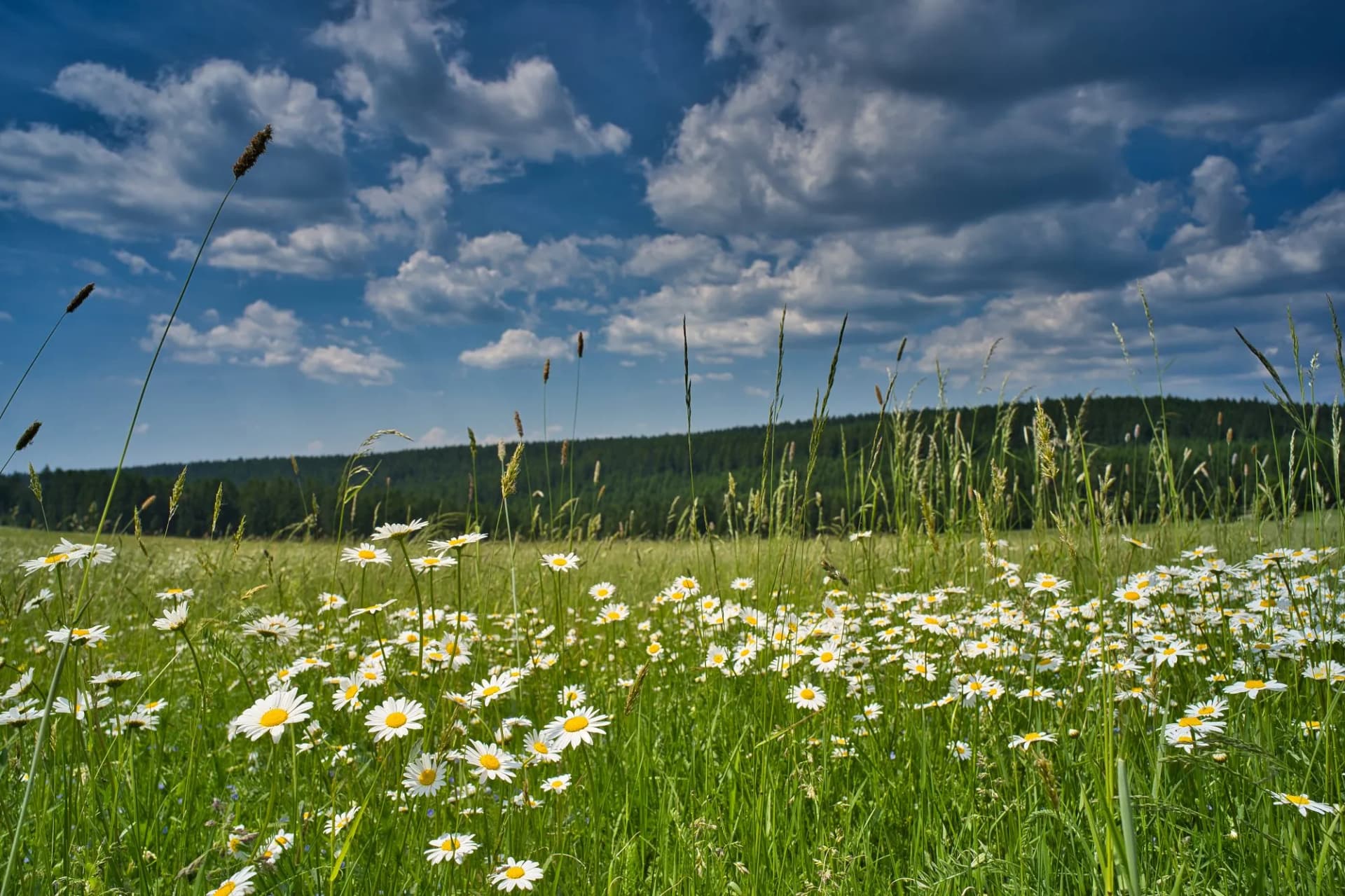 Neustadt am Rennweg in Thuringia