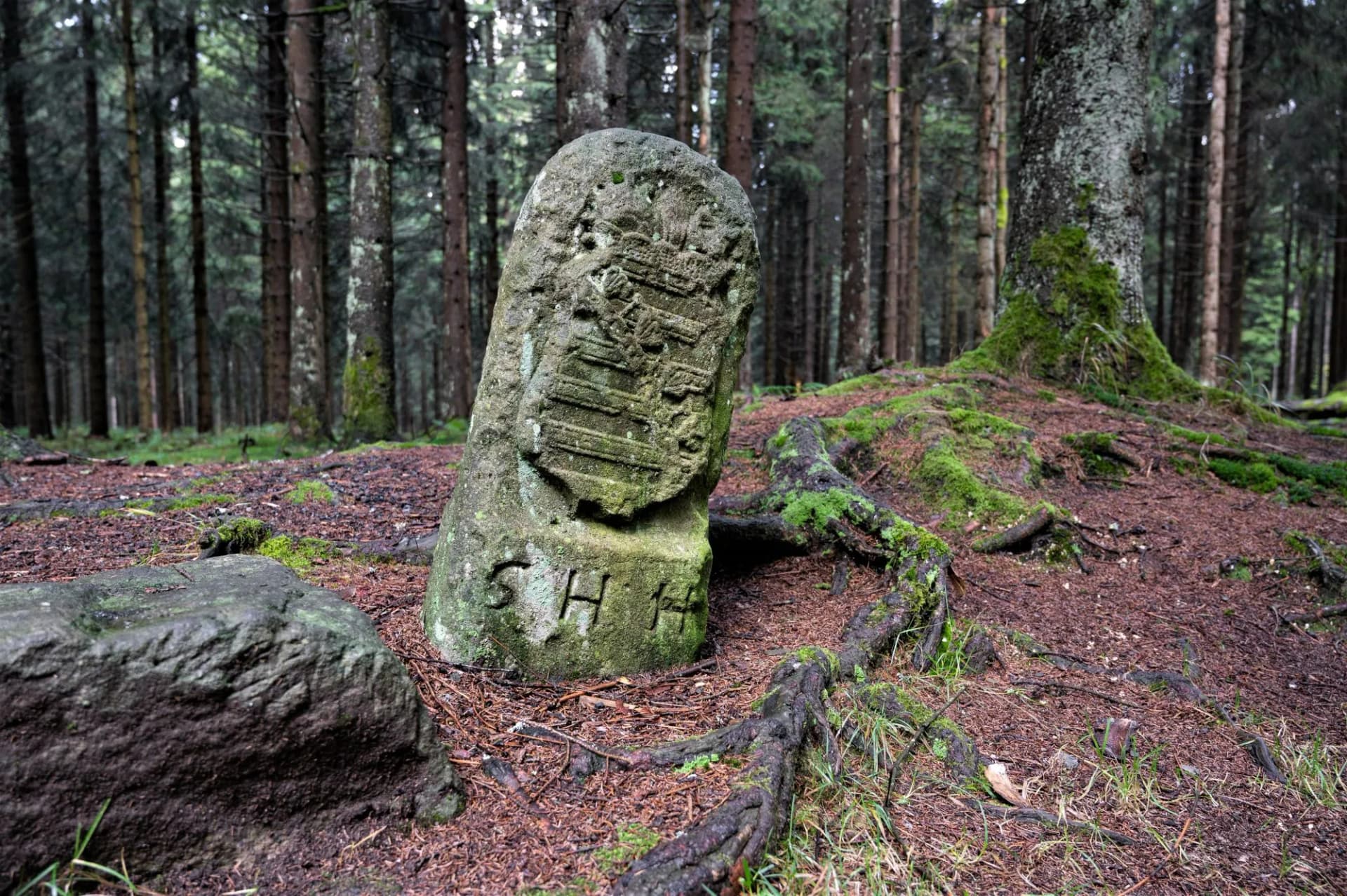 Alter Grenzstein am Rennsteig in der Nähe zum Dreistromstein bei Siegmundsburg , wo sich eine dreiseitige Wasserscheide befindet und das Wasser in den Rhein, die Weser  und die Elbe abfließt.