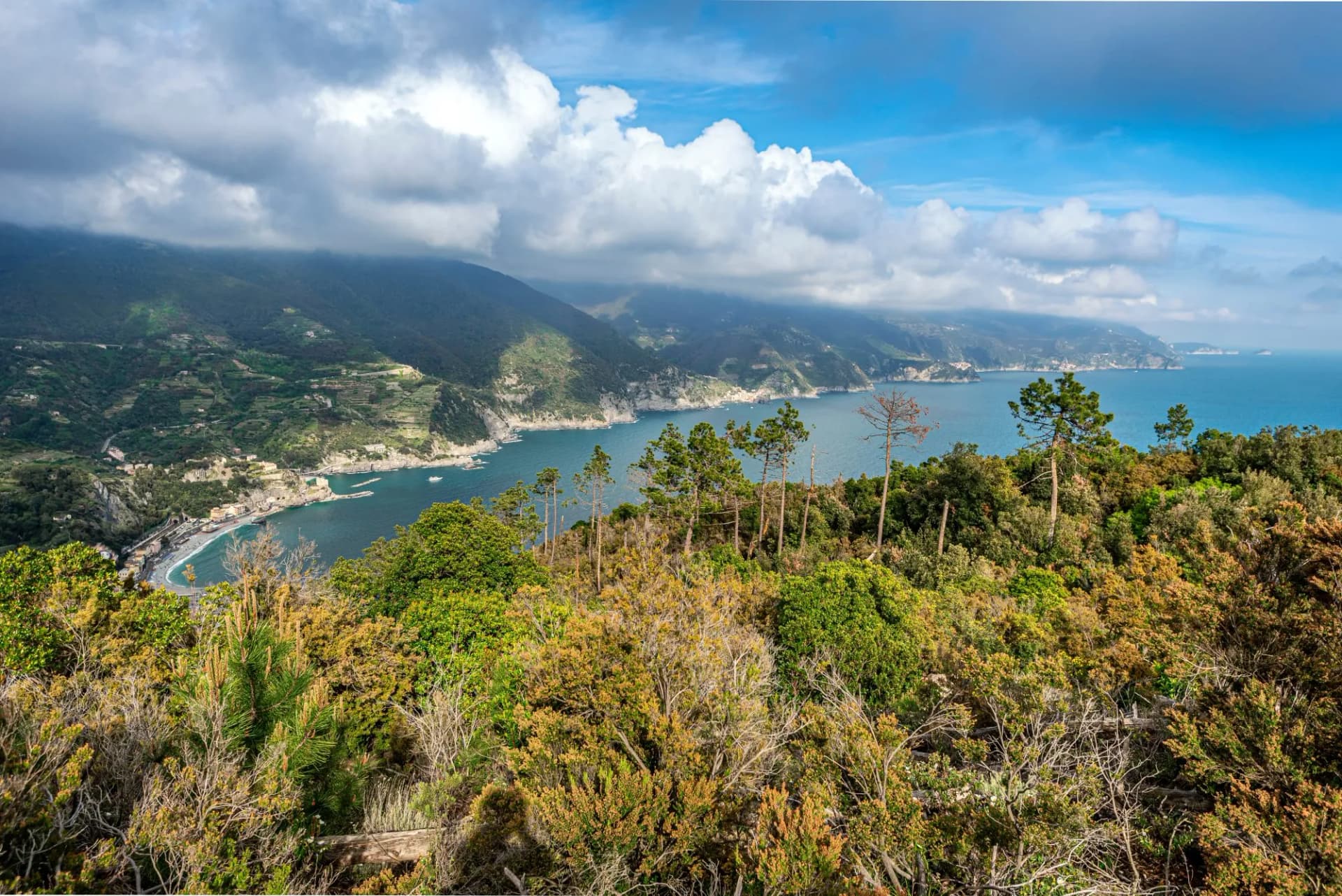 Cinque Terre coastal as viewed area from Mesco Cape. The forest of the National Park is at foreground. Liguria region in Italy.