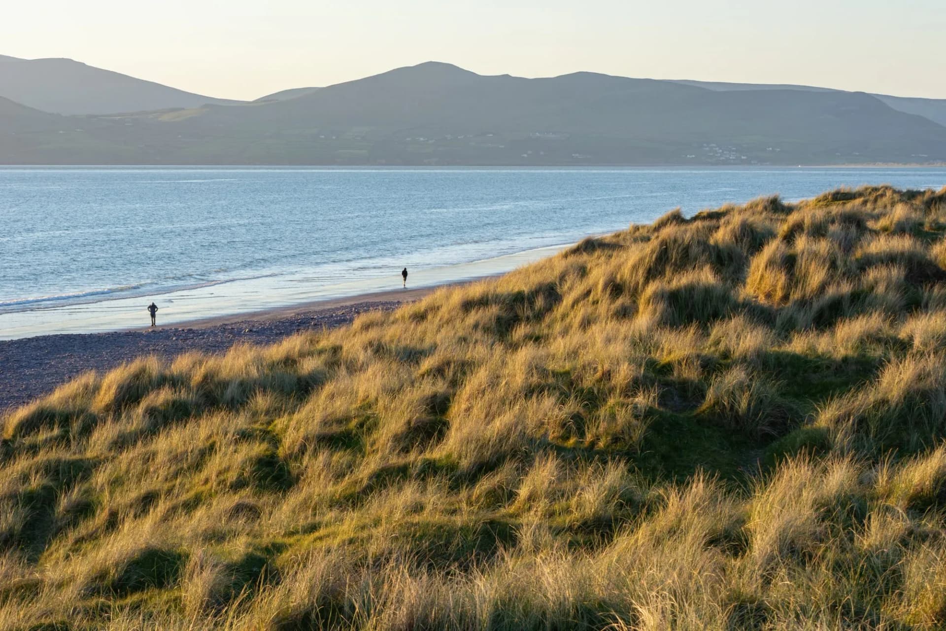 Scenic sunset in the dunes at Rossbeigh beach, Ireland. Walking in the sunset.