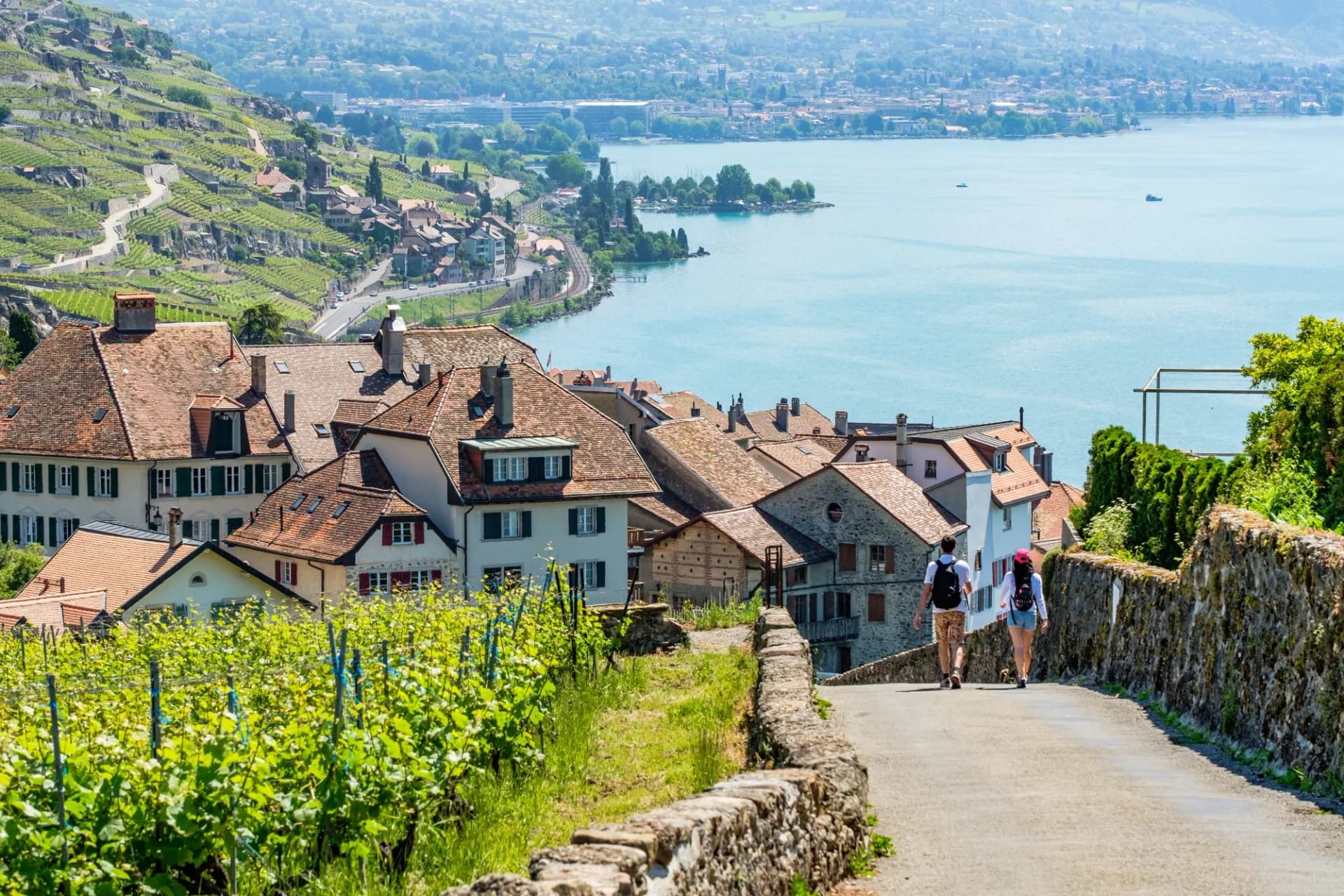 View on a little winery village called Rivaz, Lavaux Switzerland