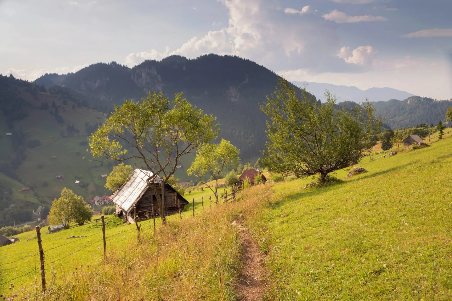 Summer landscape above the village in Moeciu de Sus - Bran, Romania