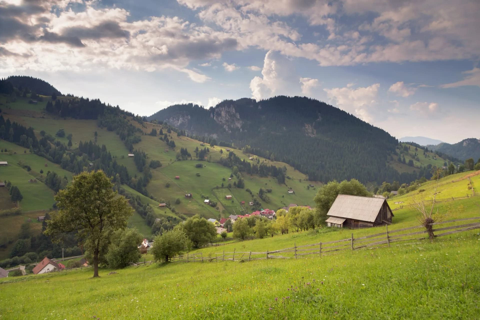 Summer landscape above the village in Moeciu de Sus - Bran, Romania