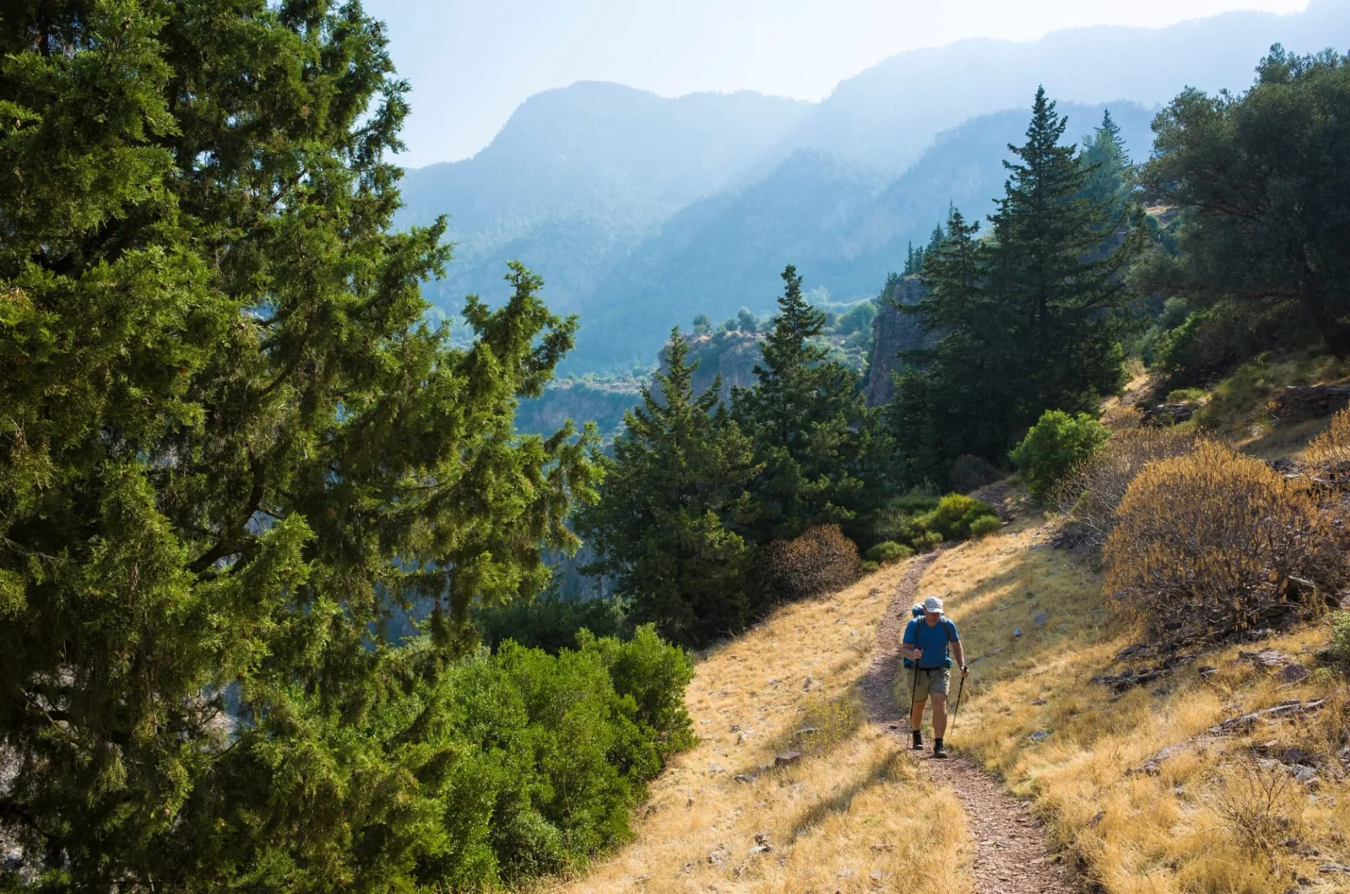 Hiking on Lycian way. Man with backpack is trekking in beautiful nature with yellow grass, coniferous trees, mountain background on Lycian trail, Mediterranean coast near Butterfly Valley, Turkey