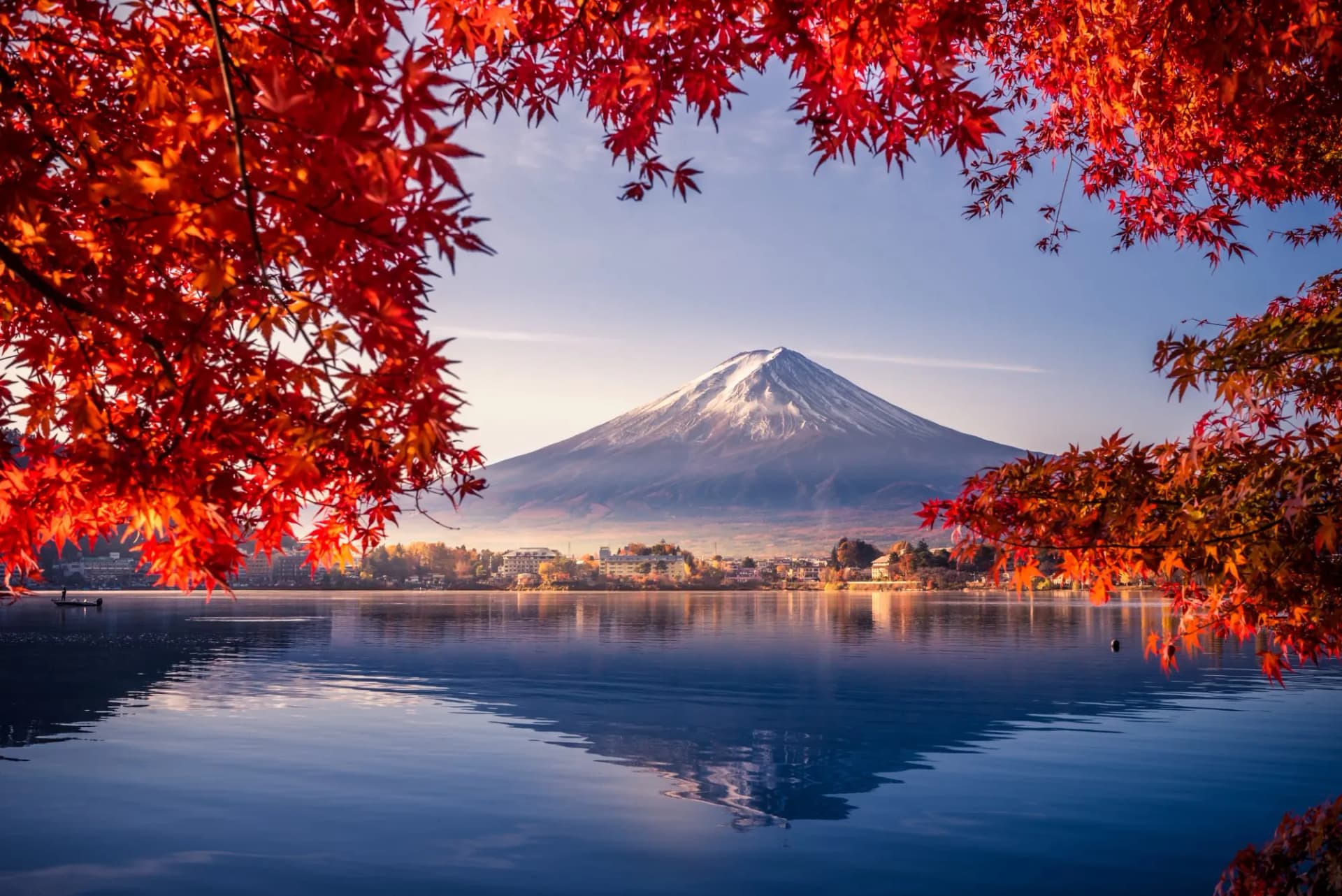 Colorful Autumn Season and Mountain Fuji with morning fog and red leaves at lake Kawaguchiko is one of the best places in Japan