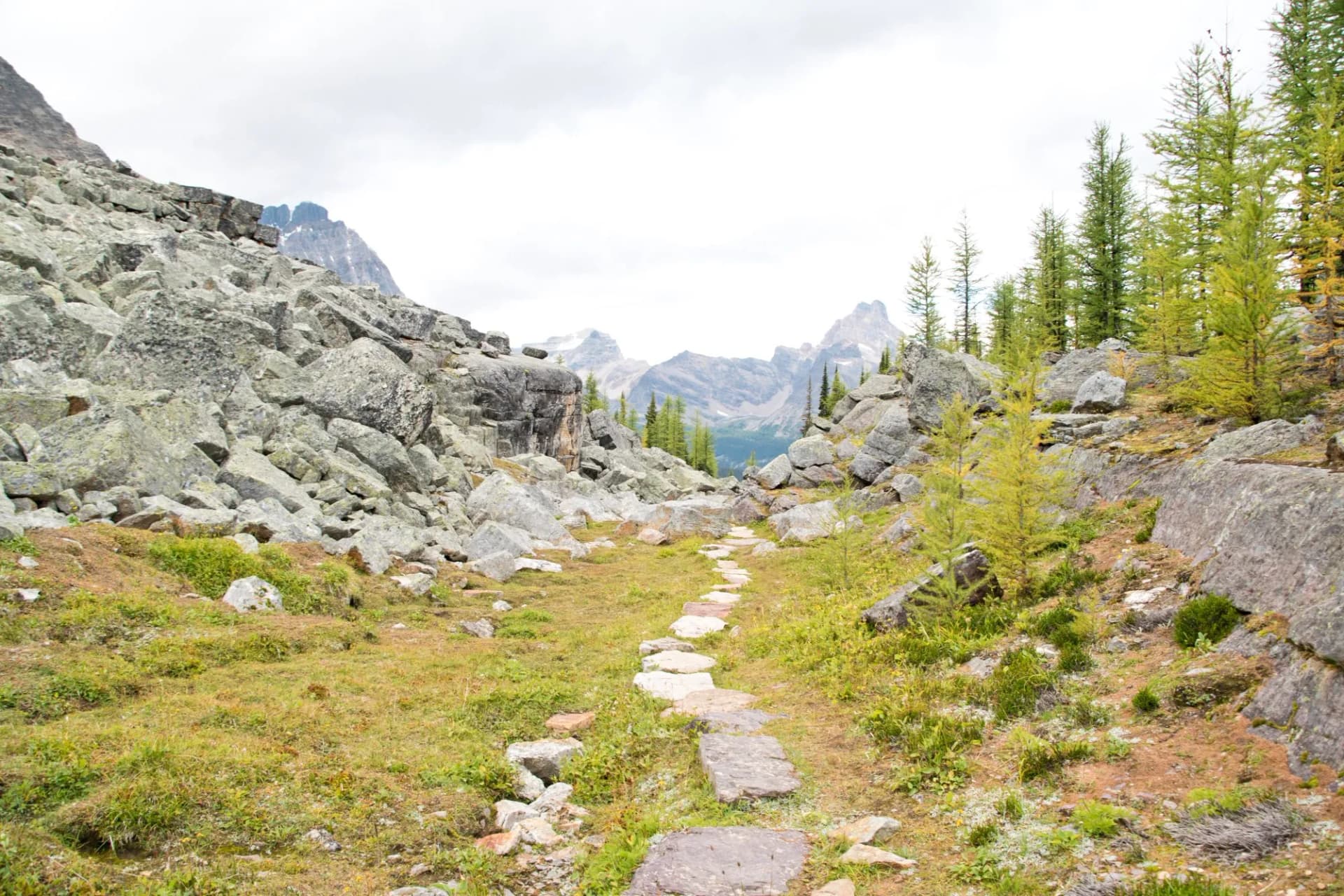 Hiking at Lake O’Hara area in Yoho national park