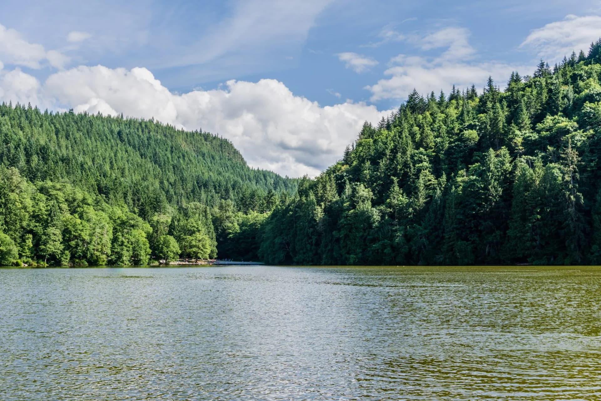Alice lake with green forest and blue sky on summer day Squamish Canada.