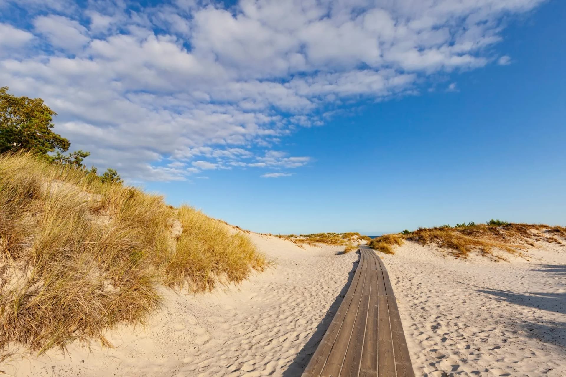 Deserted beach in Sandhammaren, Sweden.