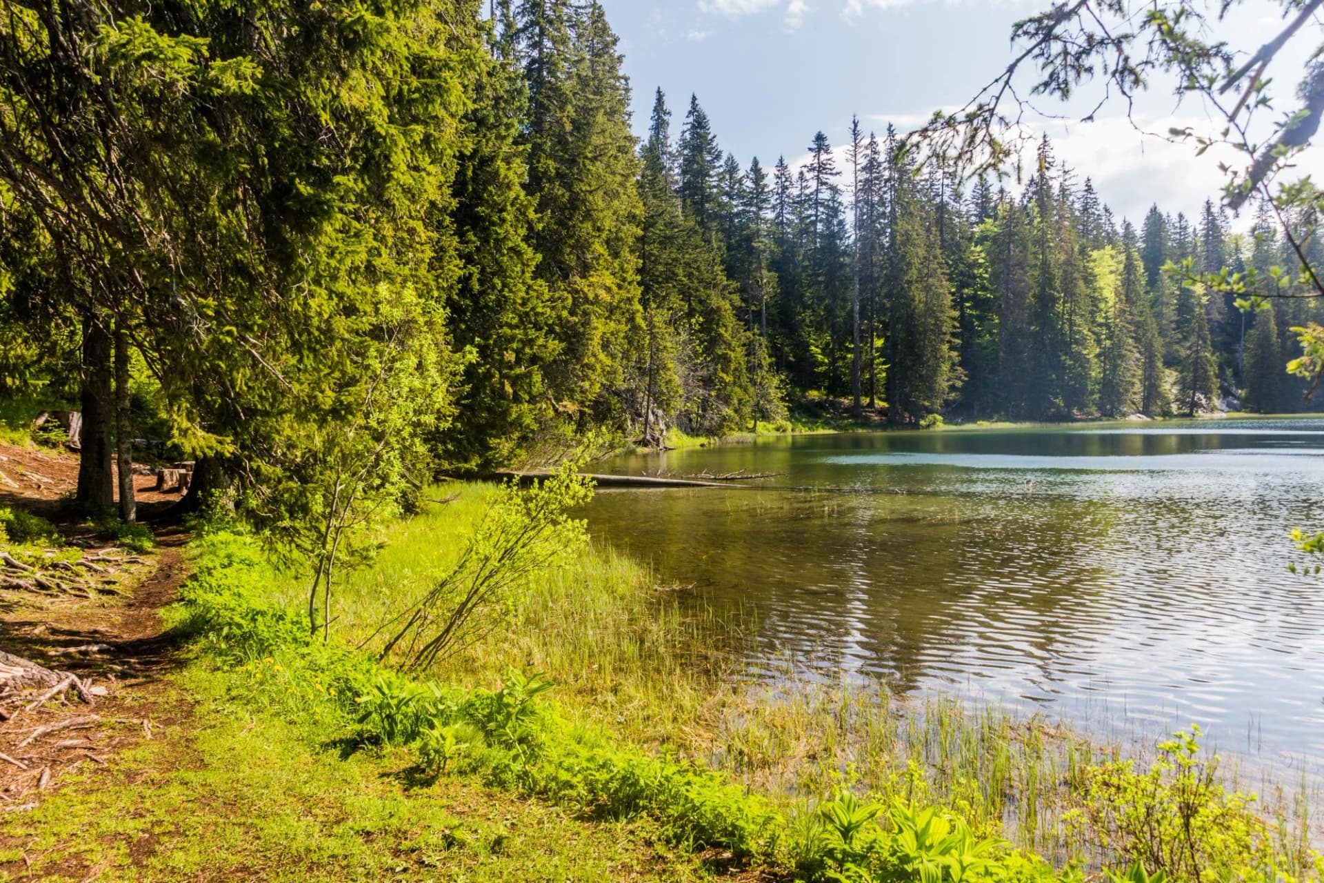 Zminje jezero lake in Durmitor national park, Montenegro.