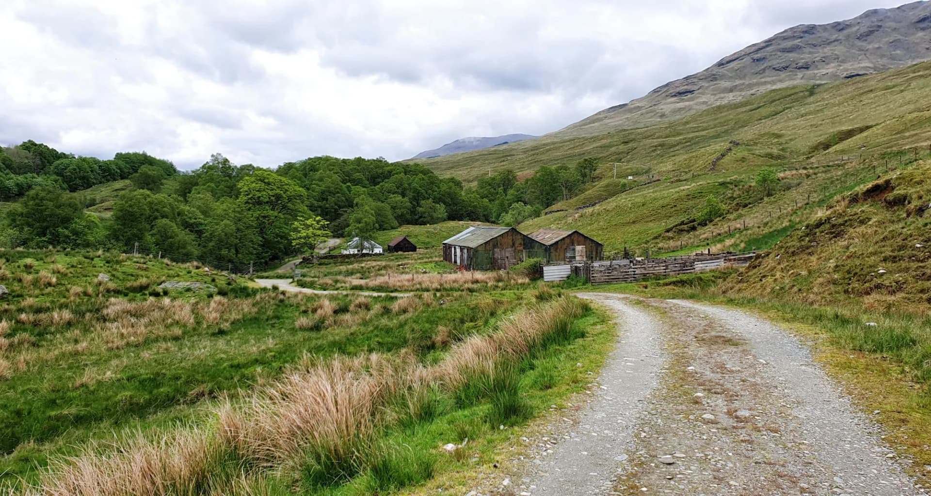 West Hiland Way Track, landscape between Loch Lomond and Bridge of Orchy, long distance hike - Scotland, UK