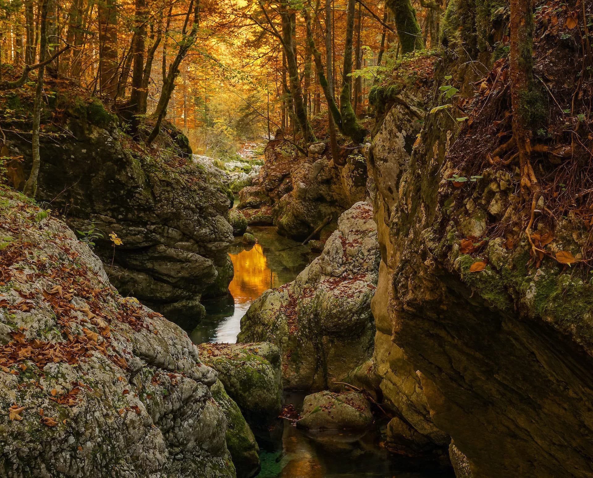 Mostnica Gorge autumn