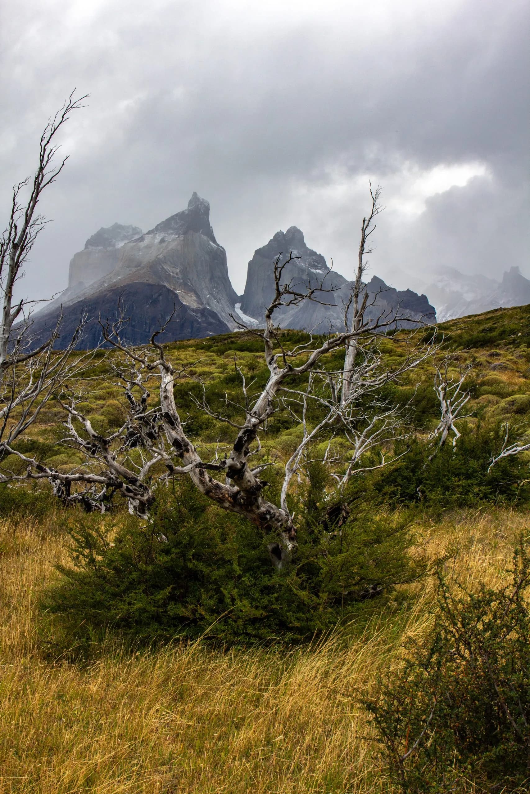 Road to the viewpoint Los Cuernos , Torres del Paine national park in chilean Patagonia