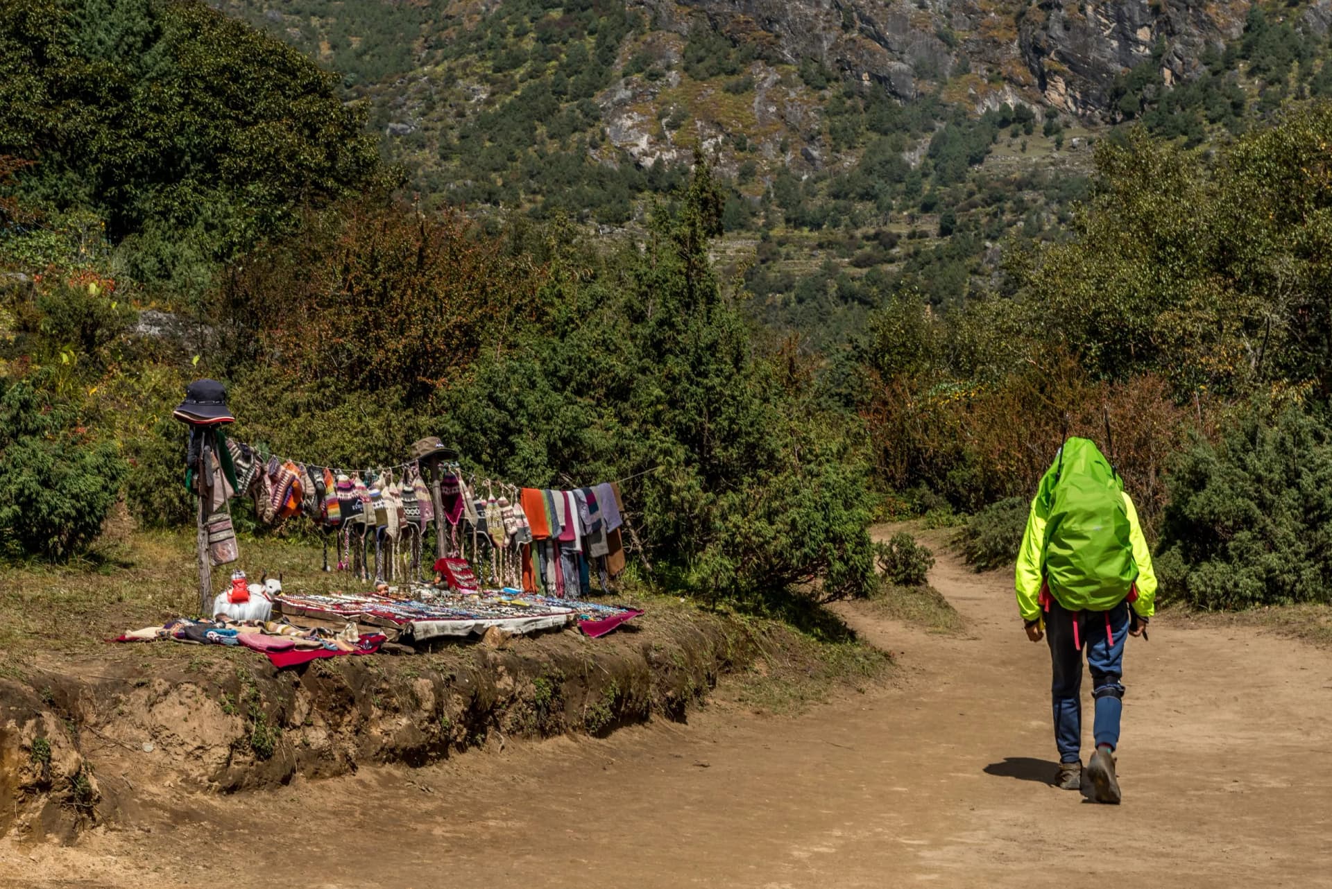 trekker walking in Khumjung green village near Namche bazaar in Everest base camp region ,Nepal