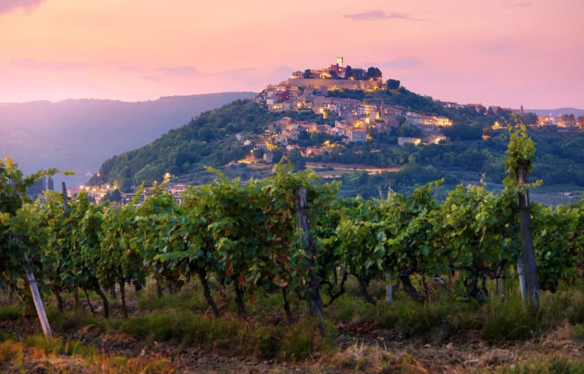 Walk & Wine Istria Holiday