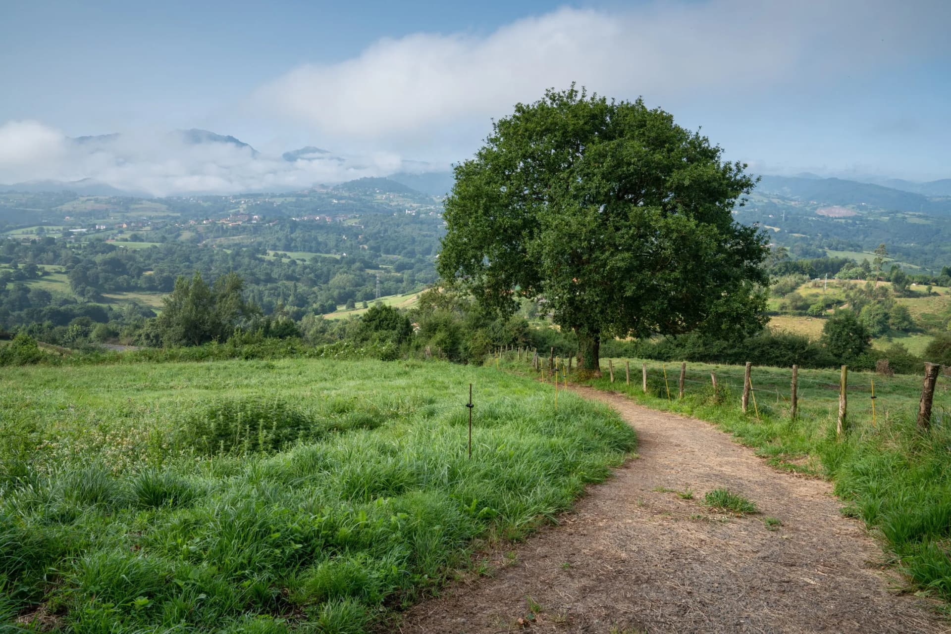 Beautiful landscape along the Camino de Santiago trail between Oviedo and Grado, Asturias, Spain