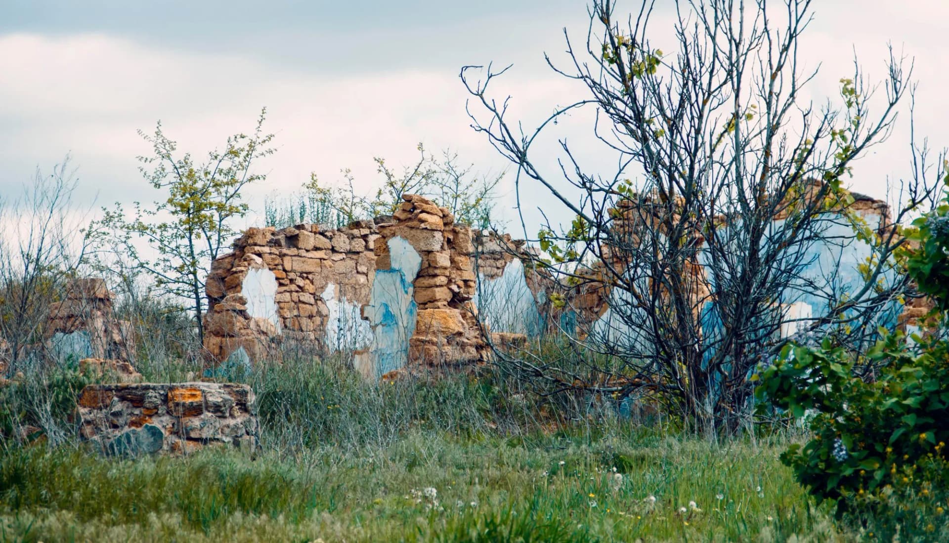 ruins of an old abandoned house in the summer landscape, color photo