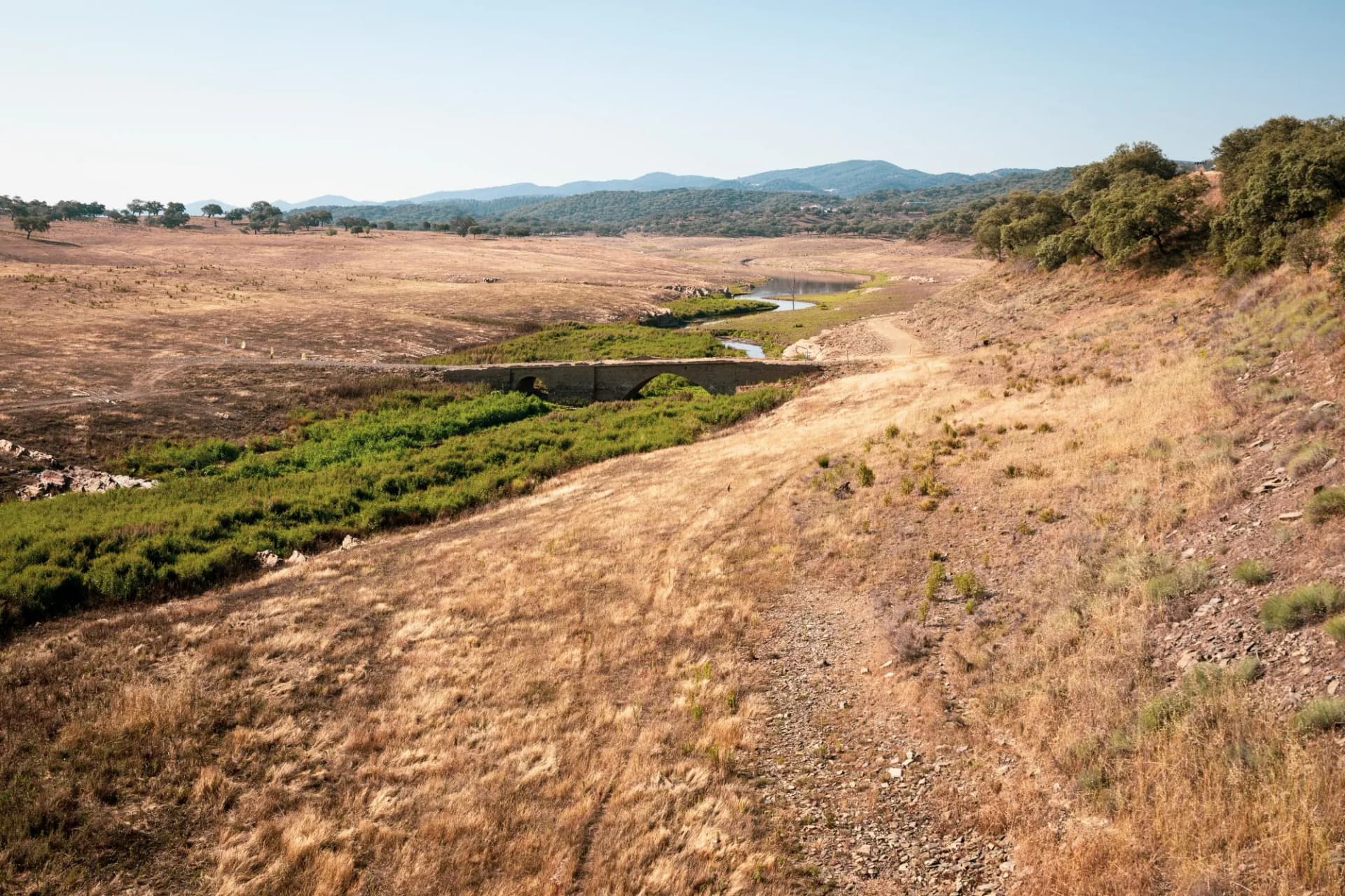 corteconcepción stone bridge
