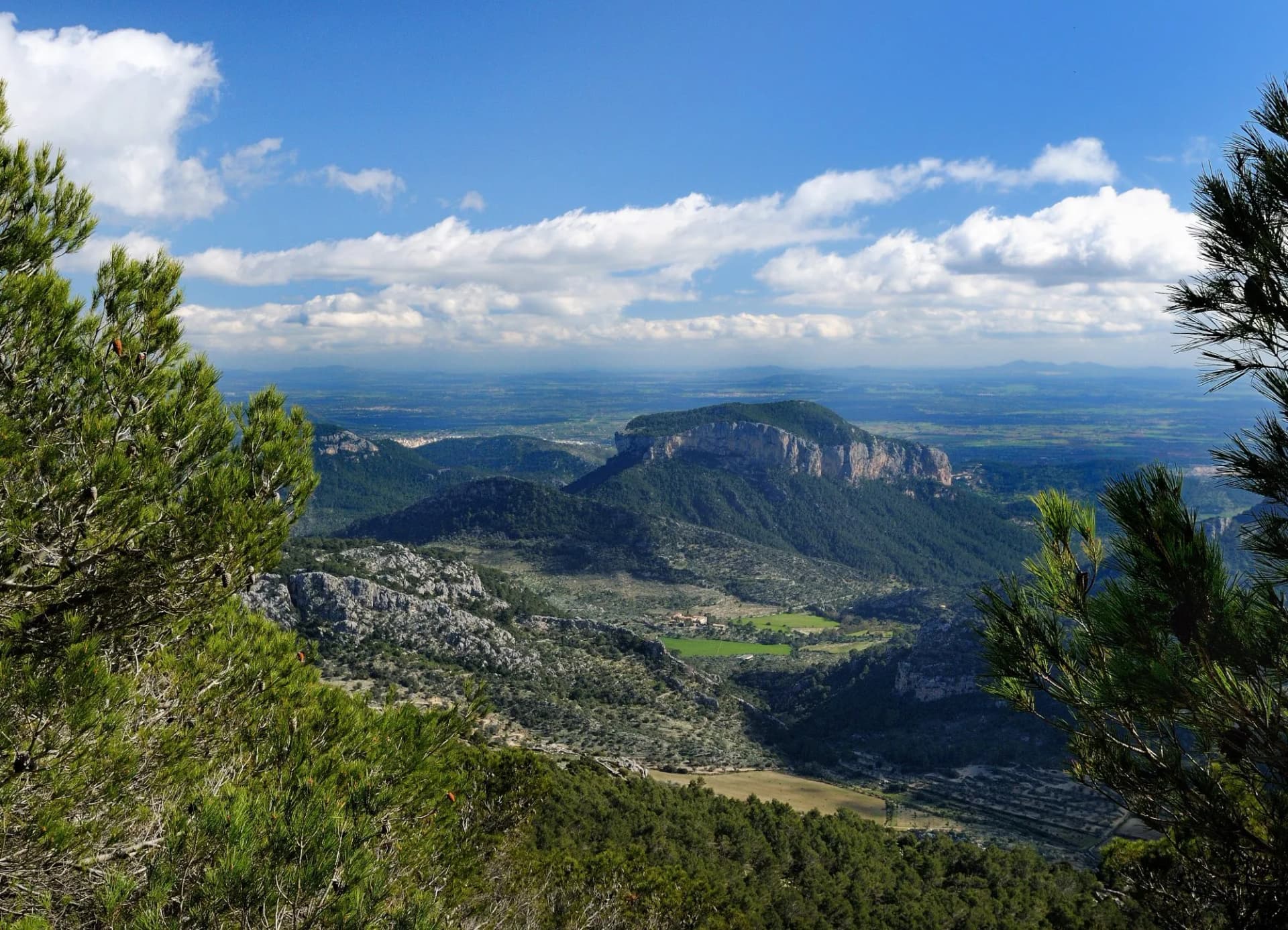 summit of l'ofre tramuntana