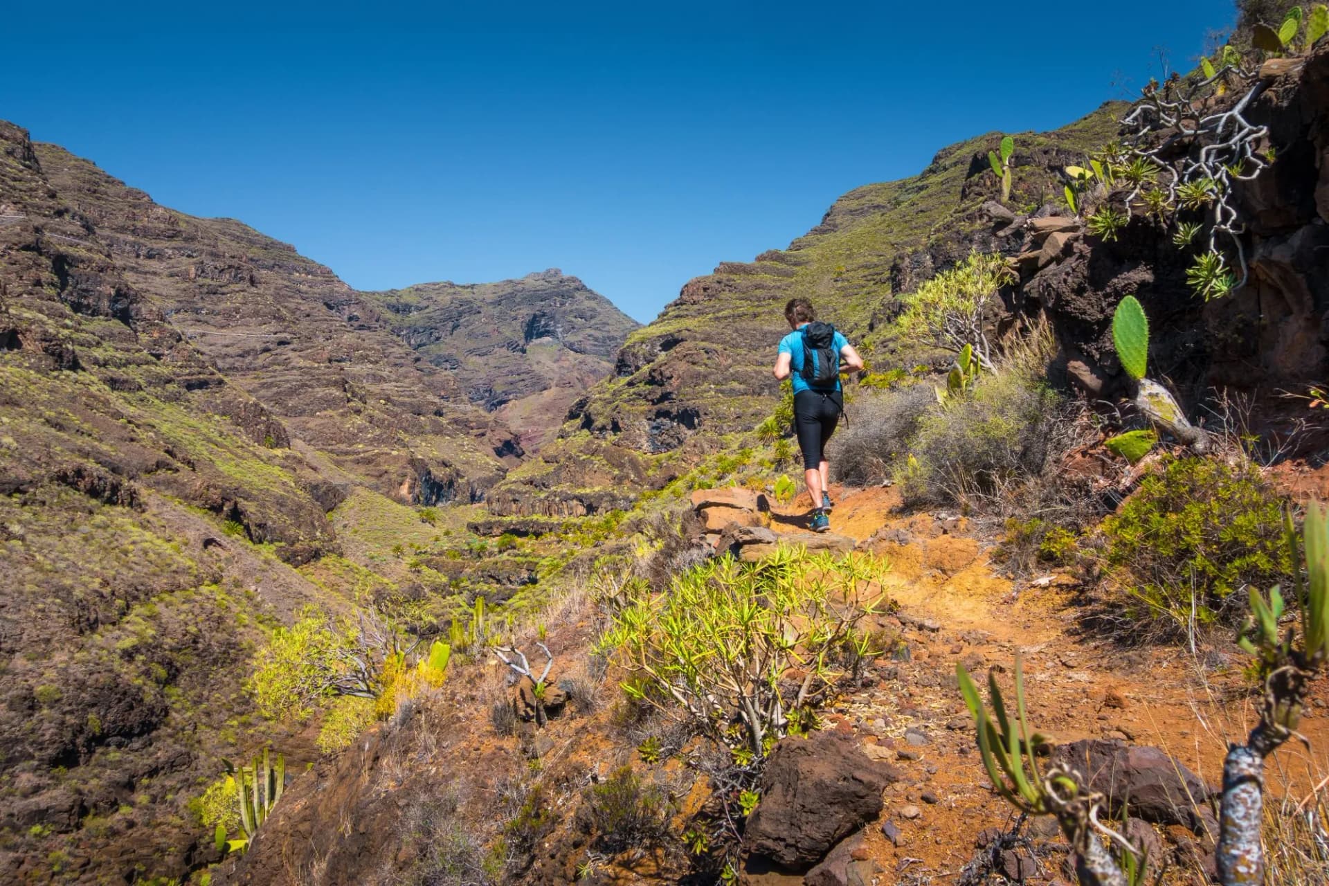 Hiker on a trail in the Canary Islands