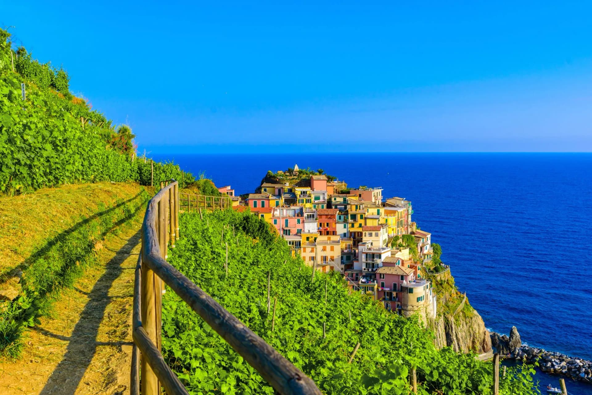Manarola village in beautiful scenery of mountains and sea - Spectacular hiking trails in vineyard with flowers in Cinque Terre National Park, Liguria, Italy, Europe
