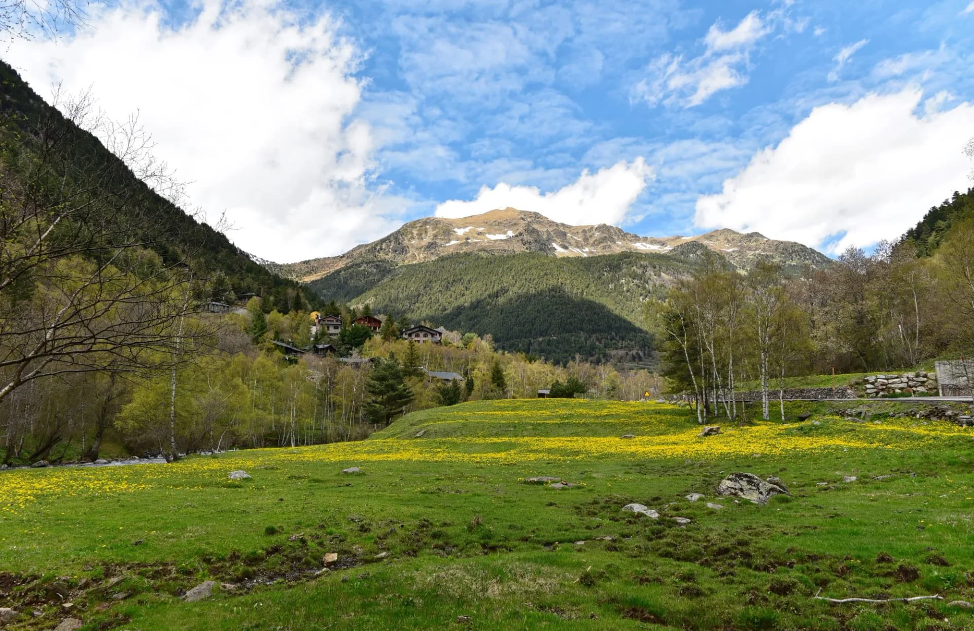 andorra meadow