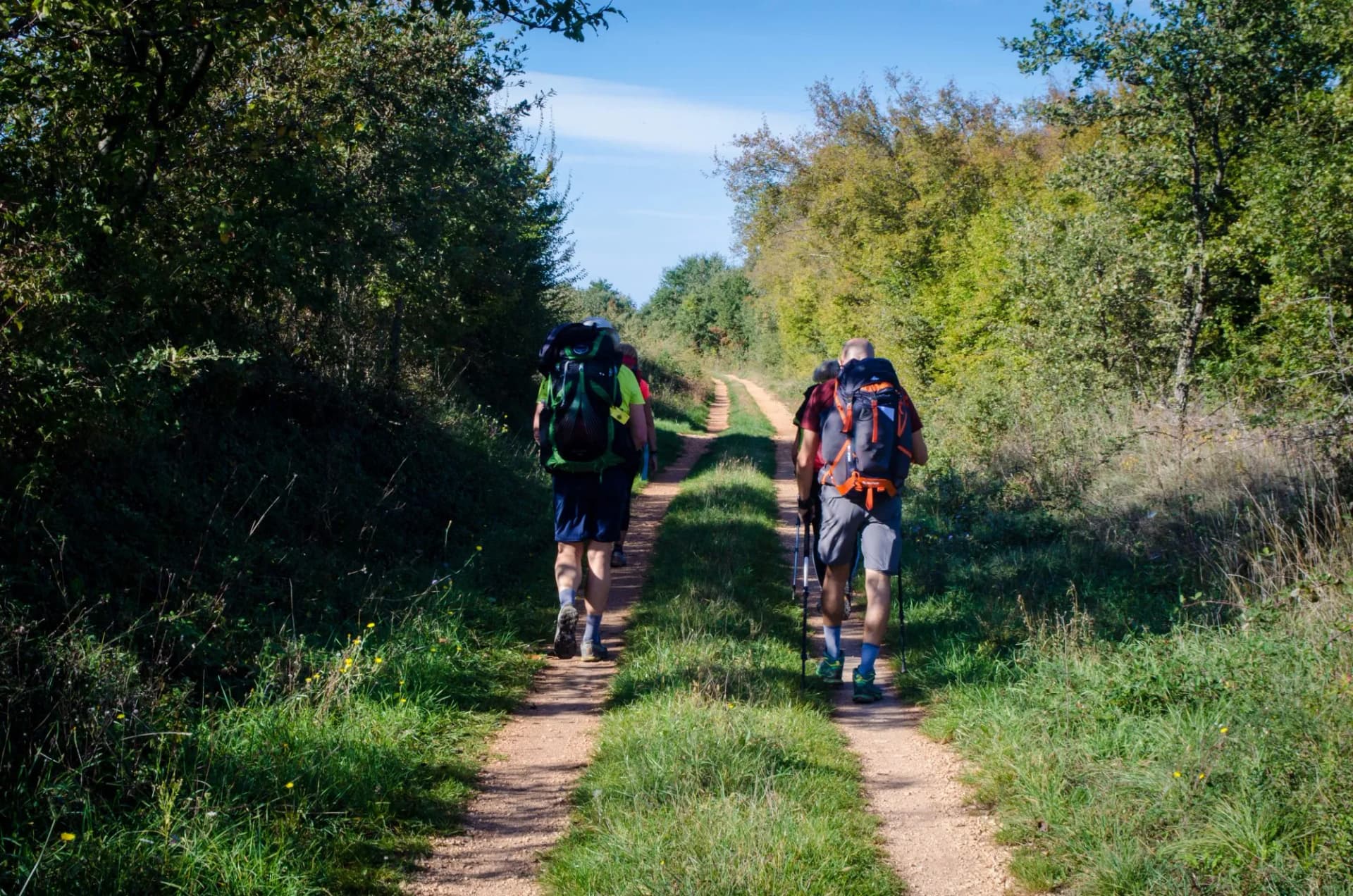 Camminando lungo la ciclovia Parenzana in Istria