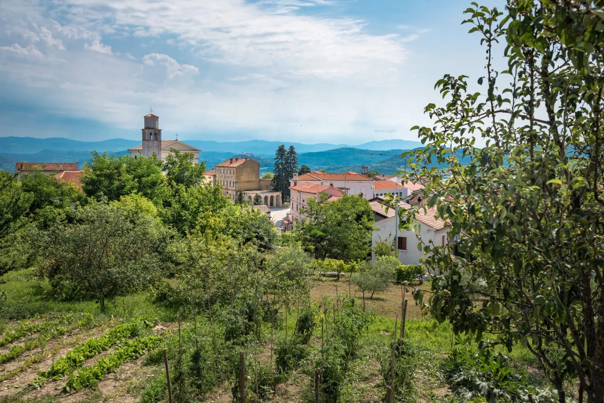 Bergdorf Visinada in Istrien / Kroatien