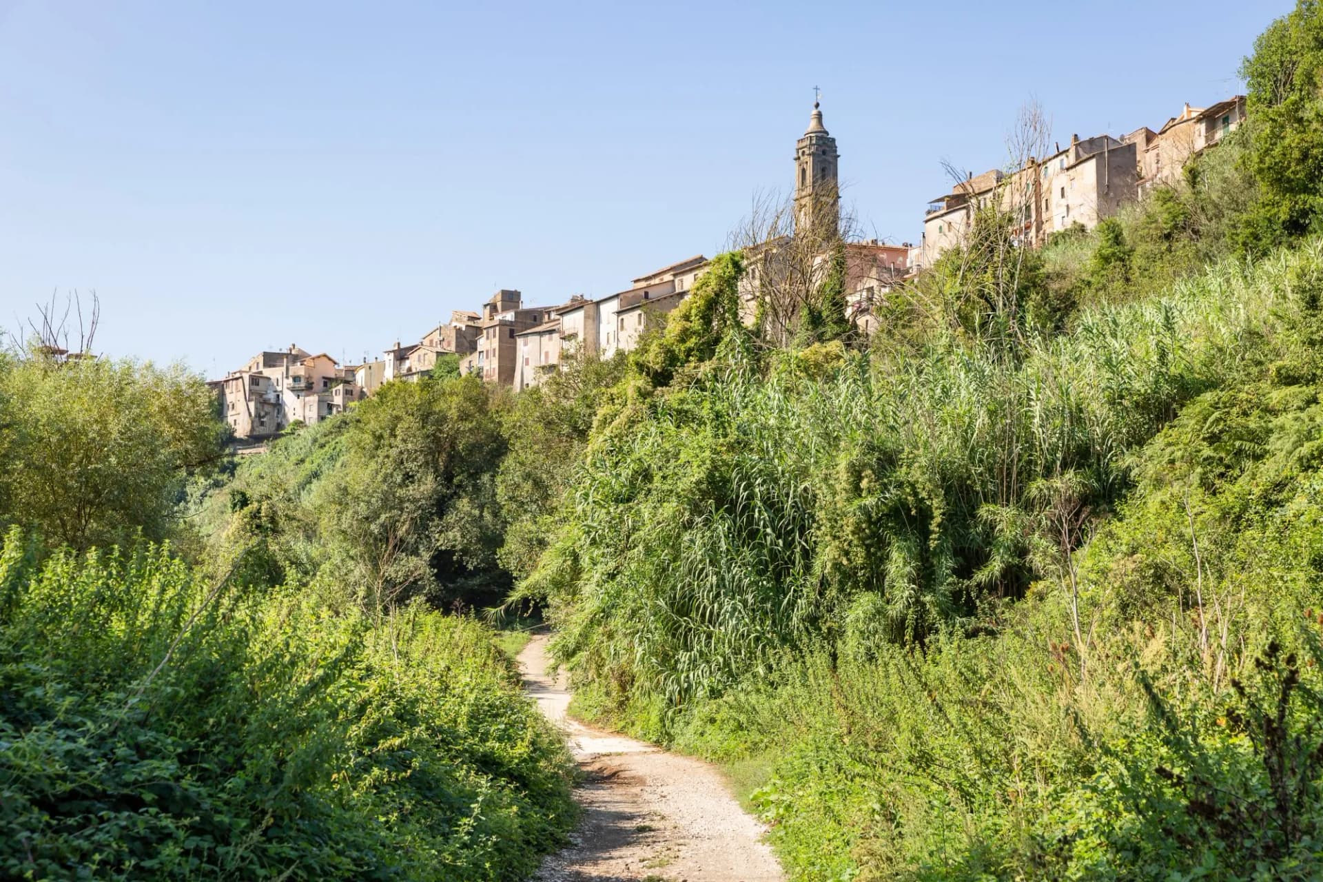 a forest path going to Campagnano di Roma town, Metropolitan City of Rome, Lazio, Italy