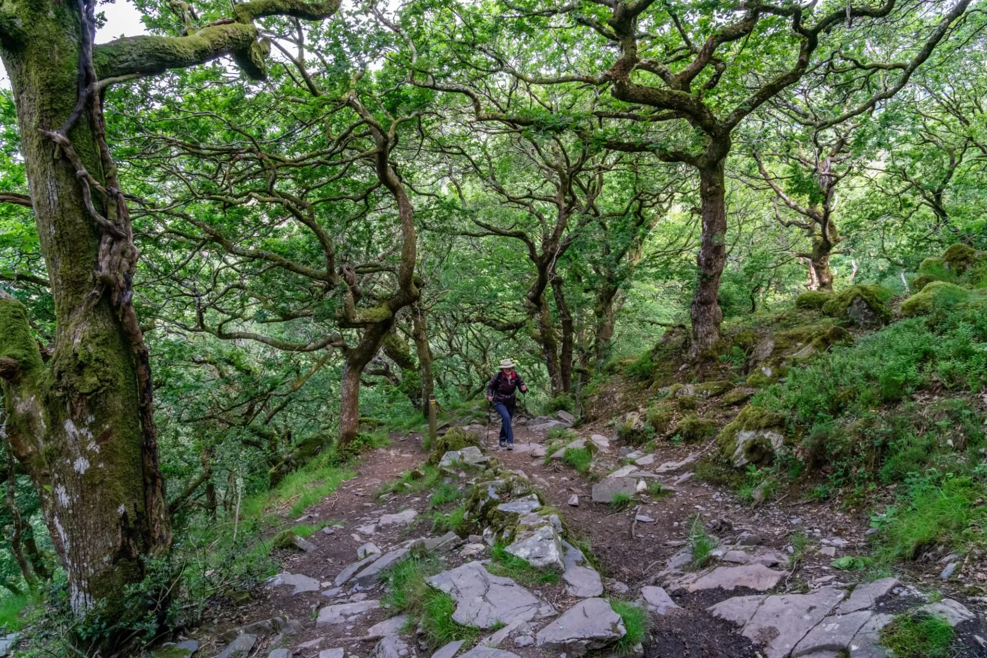 Path to Snowdon summit, Snowdonia, Wales