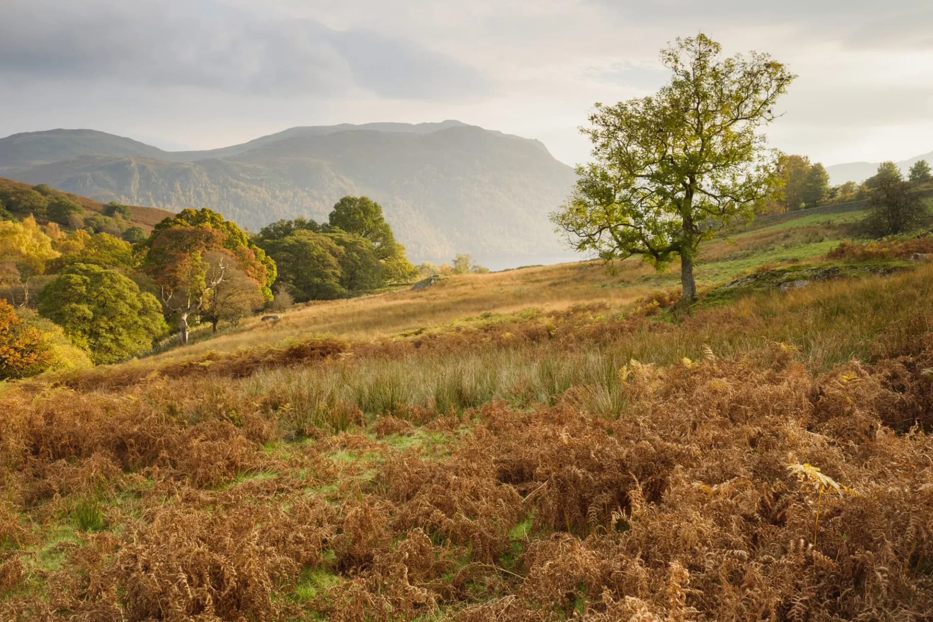 Lake district landscapes