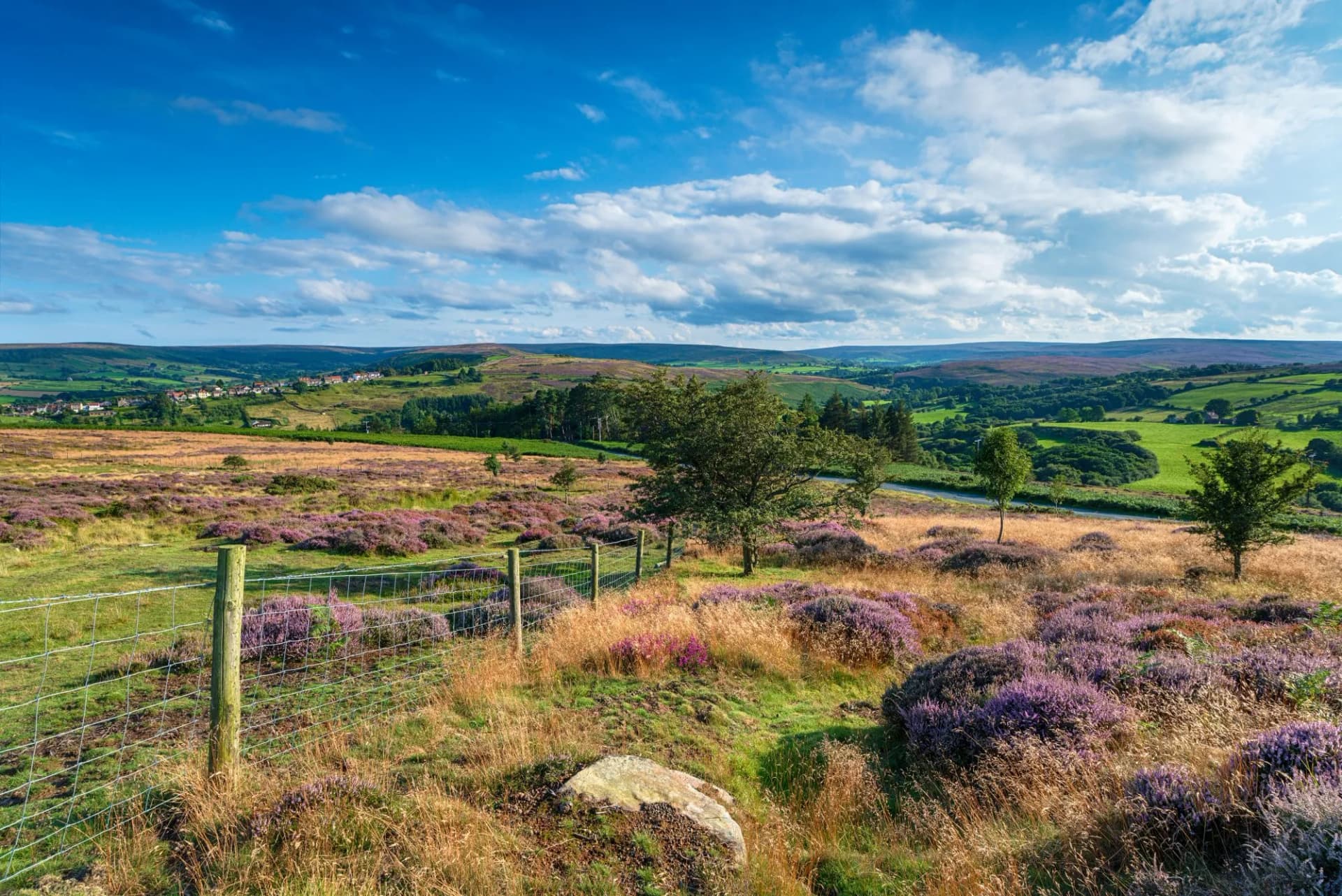 The North York Moors National Park in Yorkshire,