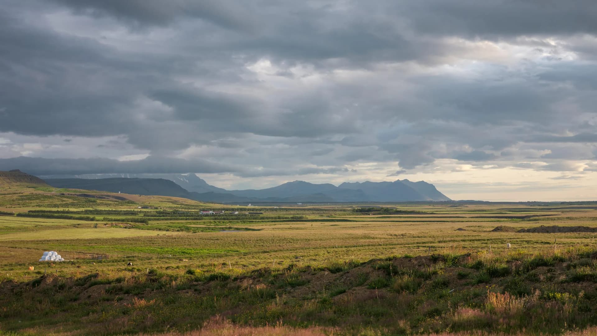 Picturesque scenery of grassy meadow on cloudy day