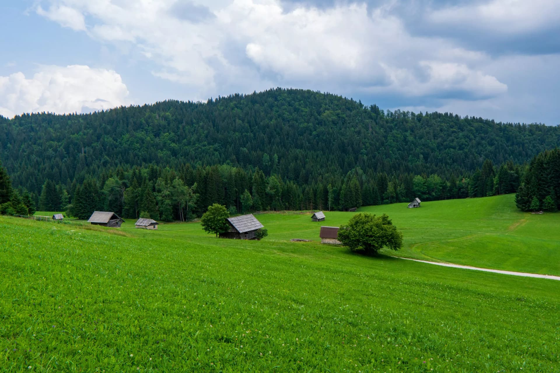 Typical landscape with wooden log cabins near Bohinjska Bistrica, Triglavski national park, Slovenia